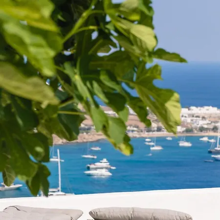 Villa Psarou Above Nammos Psarou Mykonos *